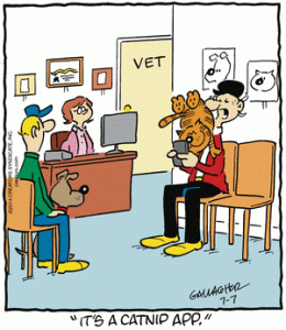 Heathcliff at the vet